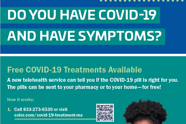Covid-19 Telehealth Flyer 2x3