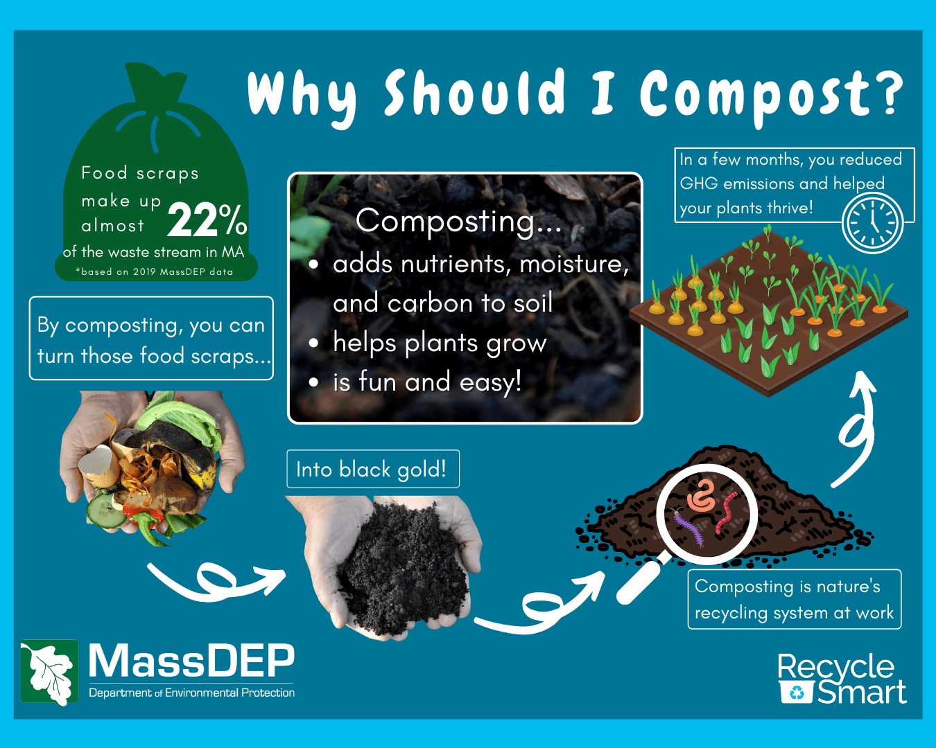 composting-infographic