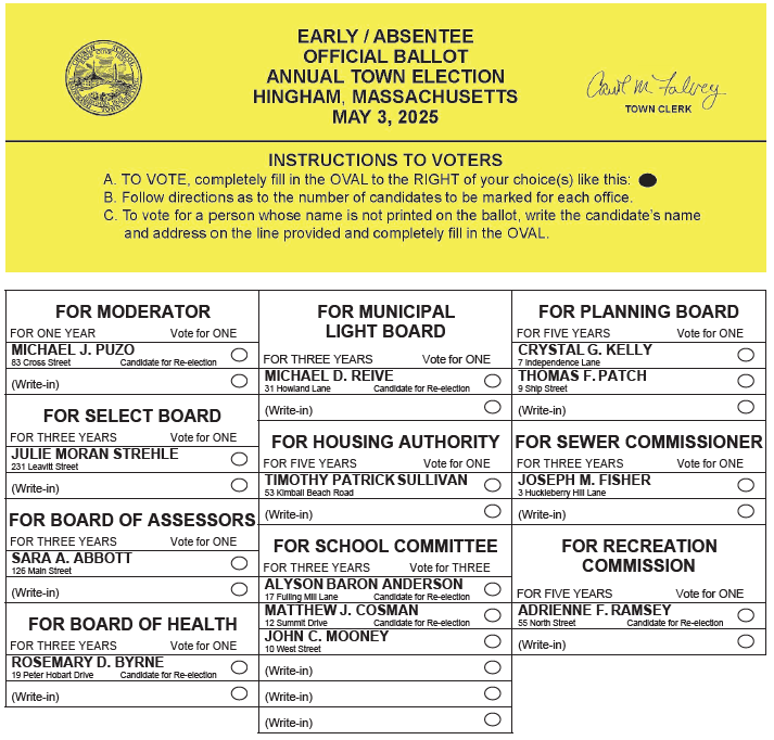 2025 Town Election Ballot Sample